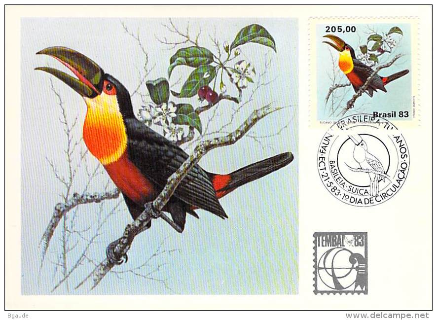 BRESIL CARTE MAXIMUM NUM.YVERT 1601 FAUNE OISEAU TOUCAN - Maximumkarten