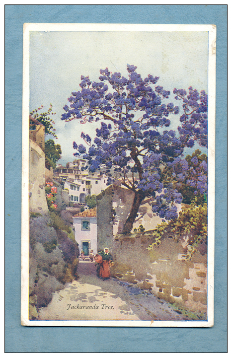 Madeira, Jakaranda Tree, Ella Du Cane - Madeira