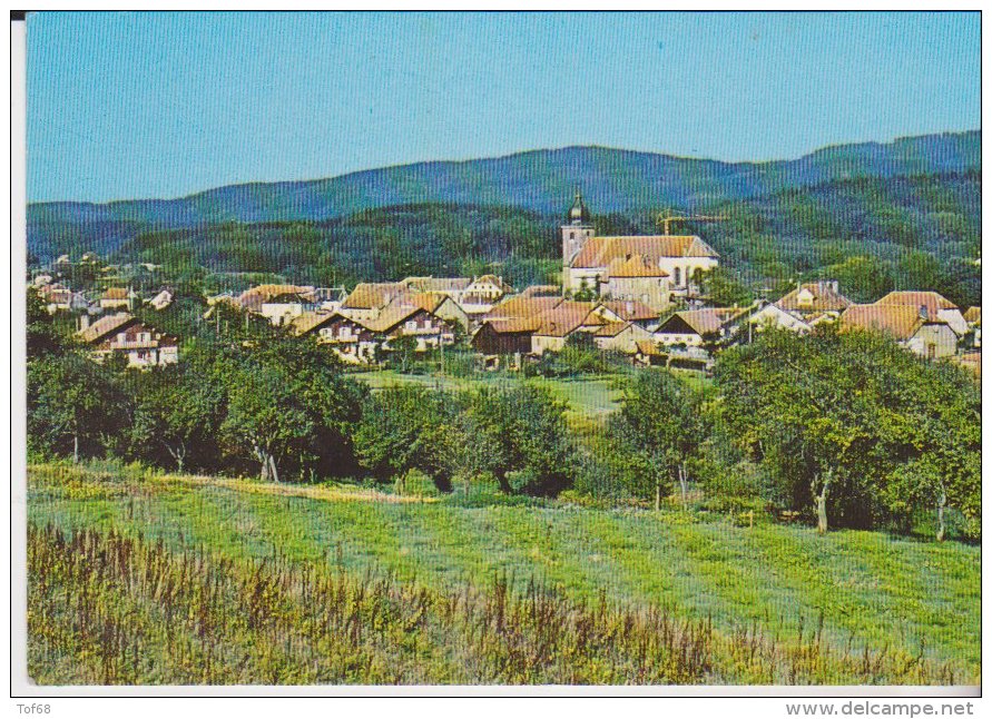 Provenchères Sur Fave Vue Générale - Provencheres Sur Fave