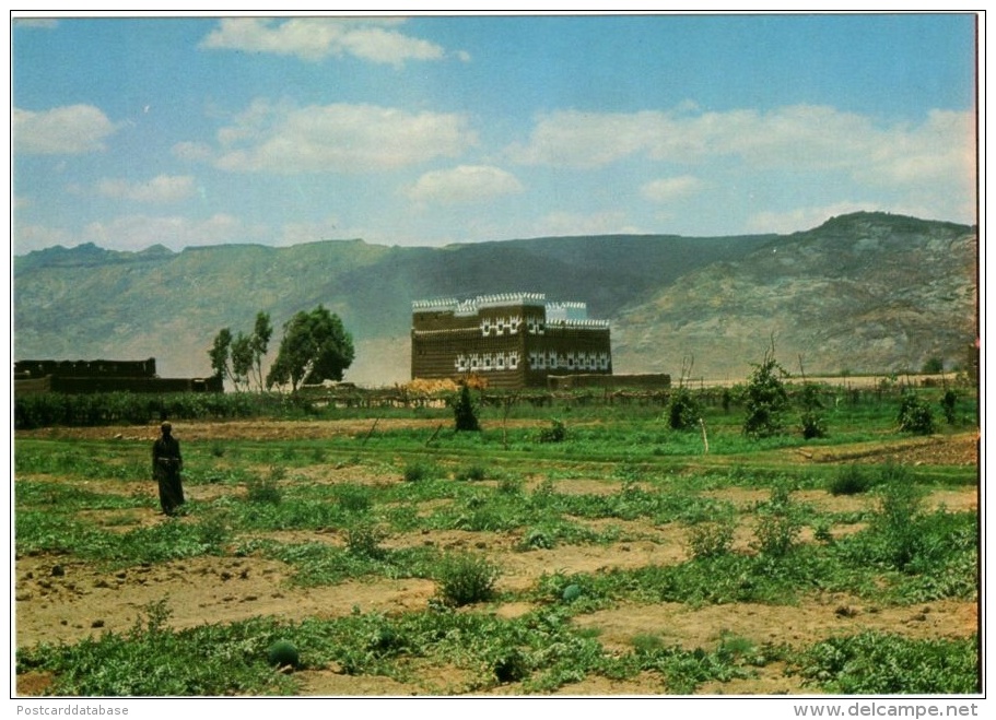 A Farm In Wadi Najran - Saudi Arabia