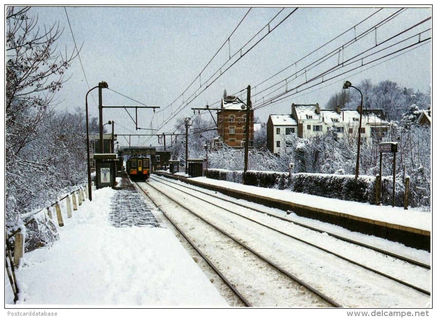 Linkebeek - Het Station In De Winter - & Train - Linkebeek