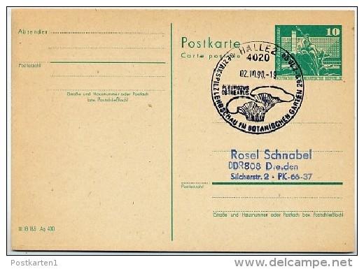 Pilzlehrschau Halle 2.10.1990  !! Auf  DDR Postkarte P79 - Cartoline - Usati