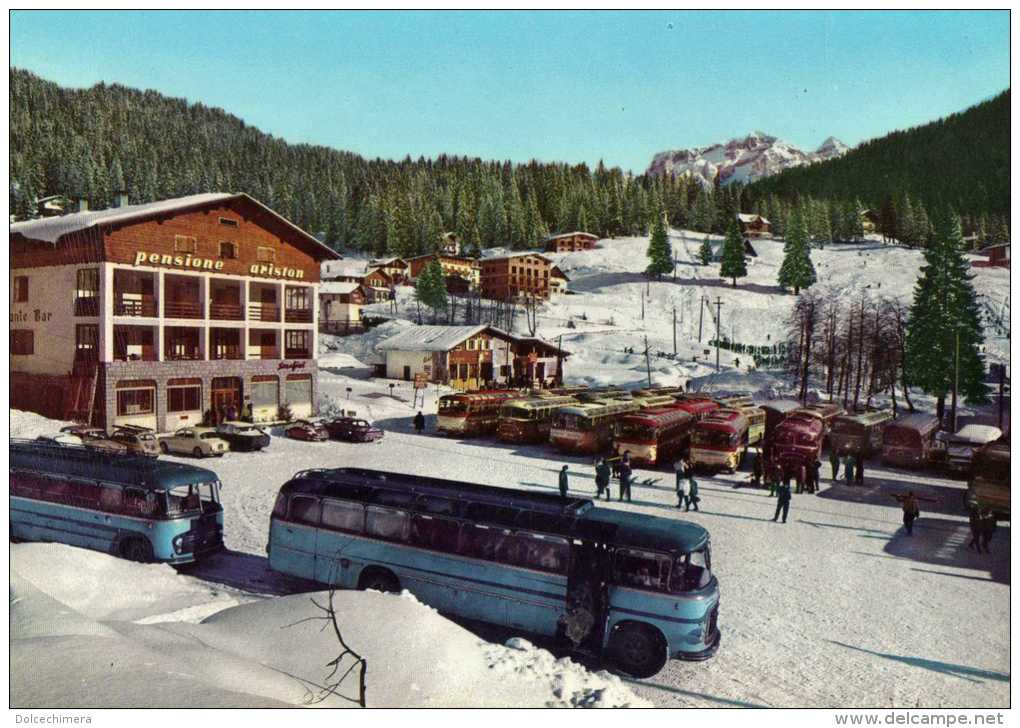 MADONNA DI CAMPIGLIO--PENSIONE ARISTON-AUTOBUS D'EPOCA - Belluno