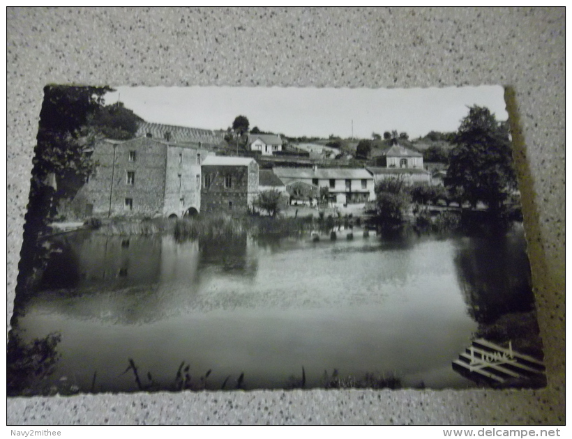 LES BORDS DE LA SEVRE VUE DE LA BAIGNADE - Boussay