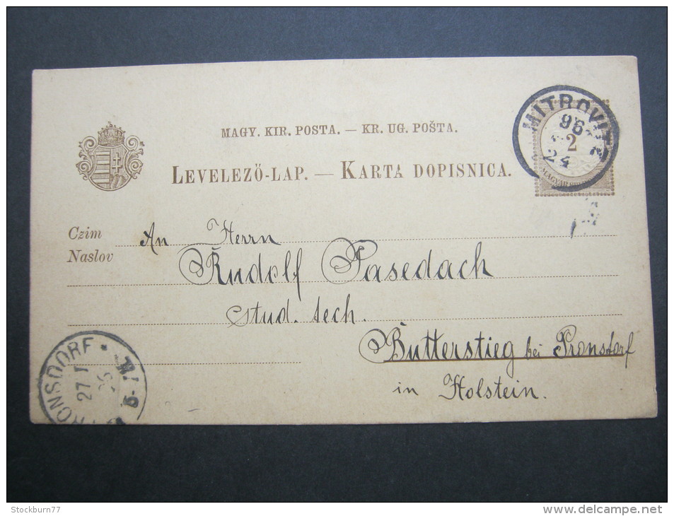 1896, MITROVITZ, Stempel Auf Karte - Storia Postale