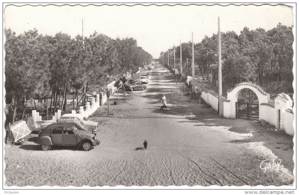 CPSM - LA GRIERE - Parc De Nolleaux - La Tranche Sur Mer