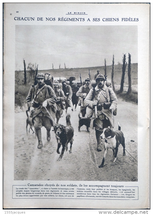 LE MIROIR N° 168 / 11-02-1917 IVERNIA ESCADRILLE CIGOGNES AVIATEUR GUYNEMER TUNISIE GABES JOFFRE MOEVE CHIEN RÉGIMENT