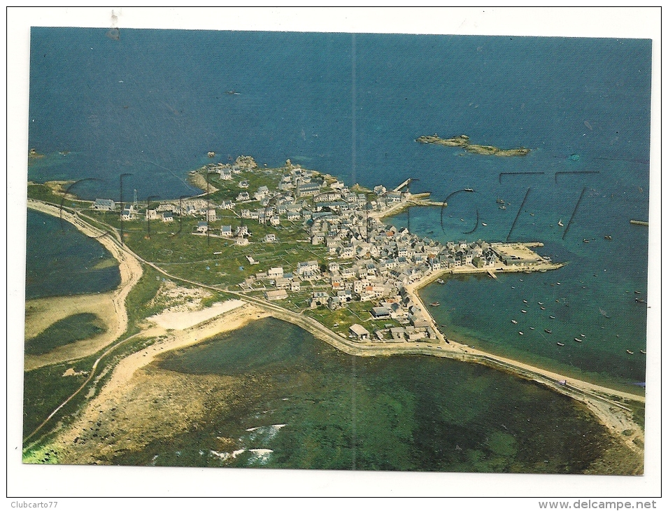 Ile De Sein (29) : Vue Aérienne Générale En 1970 GF. - Ile De Sein