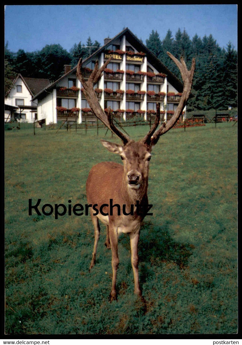 POSTKARTE HORHAUSEN-OBERSTEINEBACH WALDHOTEL HEIDERHOF HIRSCH FLAMMERSFELD Roe Fallow Deer Daim Chevreuil Cerf Postcard - Altenkirchen