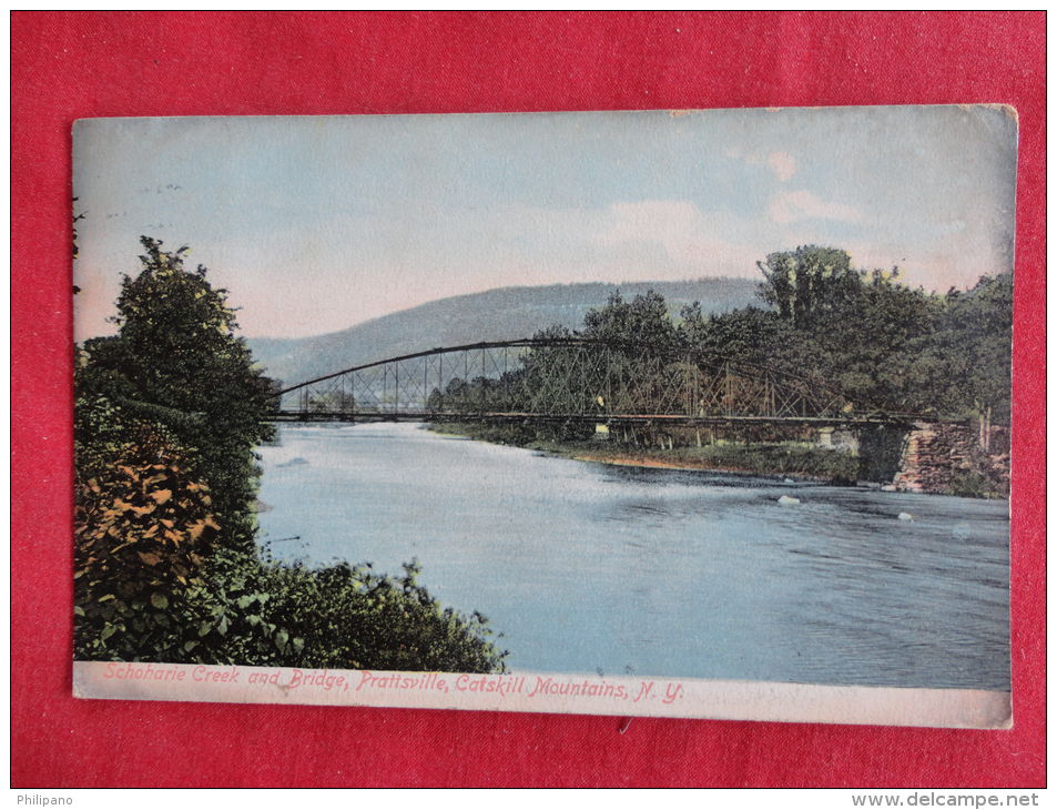 New York  Catskills -Schoharie Creek & Bridge Prattsville  Not Mailed     Ref  1106 - Catskills
