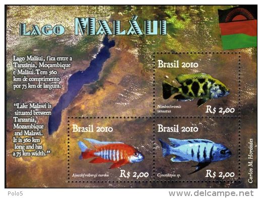 Brazil 2010-Lago Malawi  M/Sheet - Unused Stamps