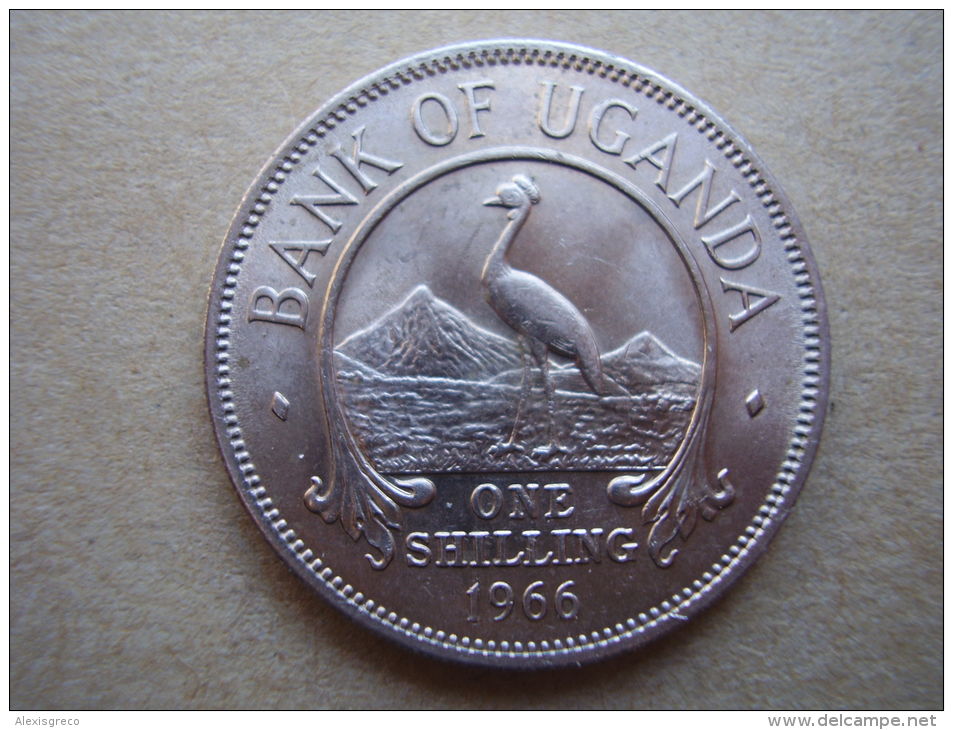 UGANDA 1966  FIRST POST-INDEPENDENCE COINAGE Issue Of ONE SHILLING Copper-nickel Used. - Ouganda
