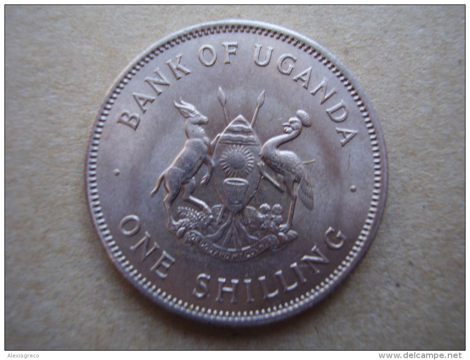 UGANDA 1966  FIRST POST-INDEPENDENCE COINAGE Issue Of ONE SHILLING Copper-nickel Used. - Oeganda