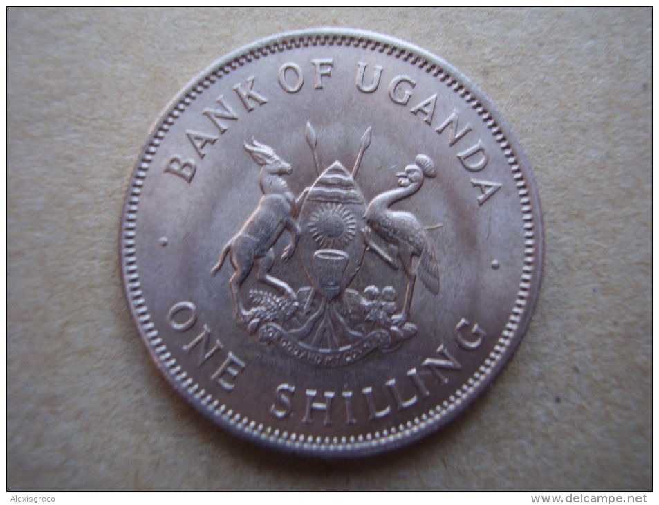 UGANDA 1966  FIRST POST-INDEPENDENCE COINAGE Issue Of ONE SHILLING Copper-nickel Used. - Uganda