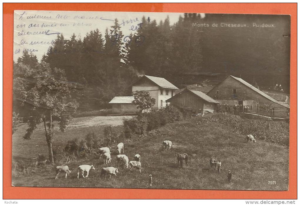 FEL350, Monts De Cheseaux , Puidoux, Pâturage , Vaches, 7971, Animée, Circulée Sous Enveloppe - Puidoux