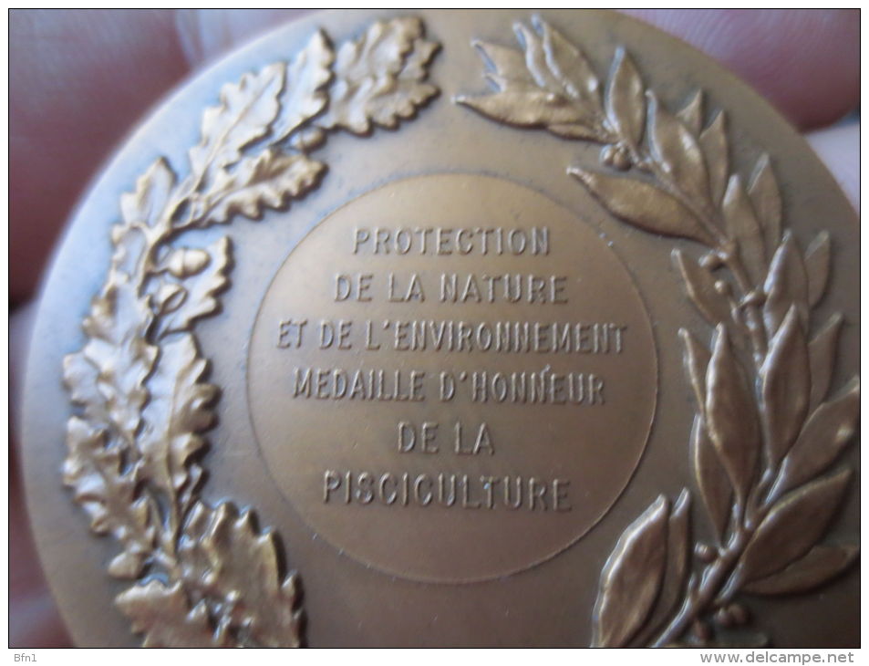 MEDAILLE R F -1983-  PROTECTION DE LA NATURE ET DE L'ENVIRONNEMENT - PISCICULTURE - DANS SON  ECRIN- VOIR PHOTOS - Professionnels / De Société