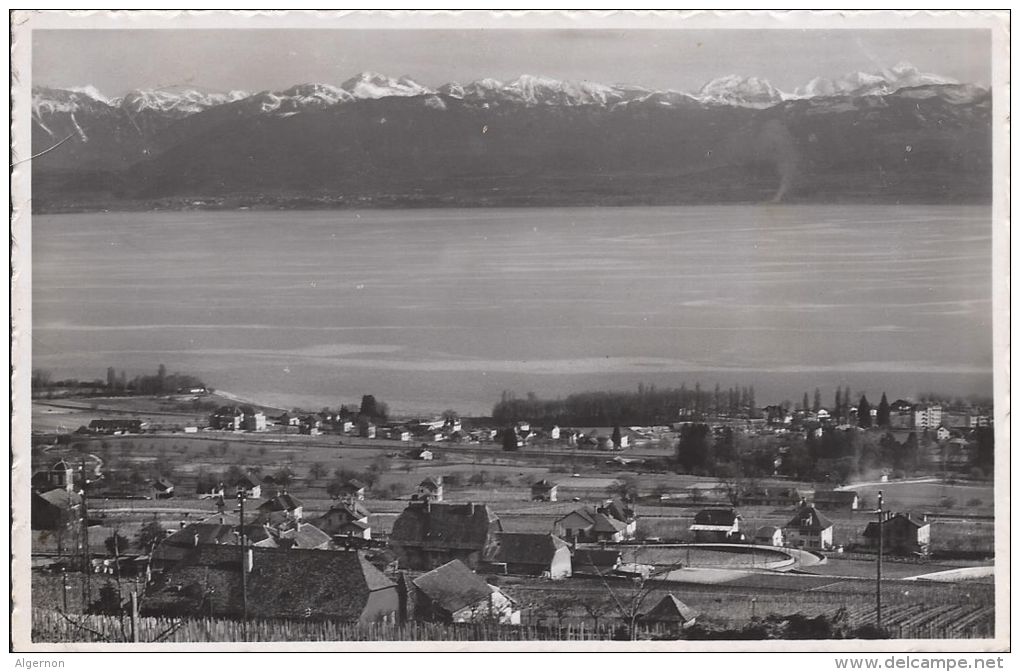 8557 - Mont Sur Rolle Et Les Alpes De Savoie - Mont-sur-Rolle 