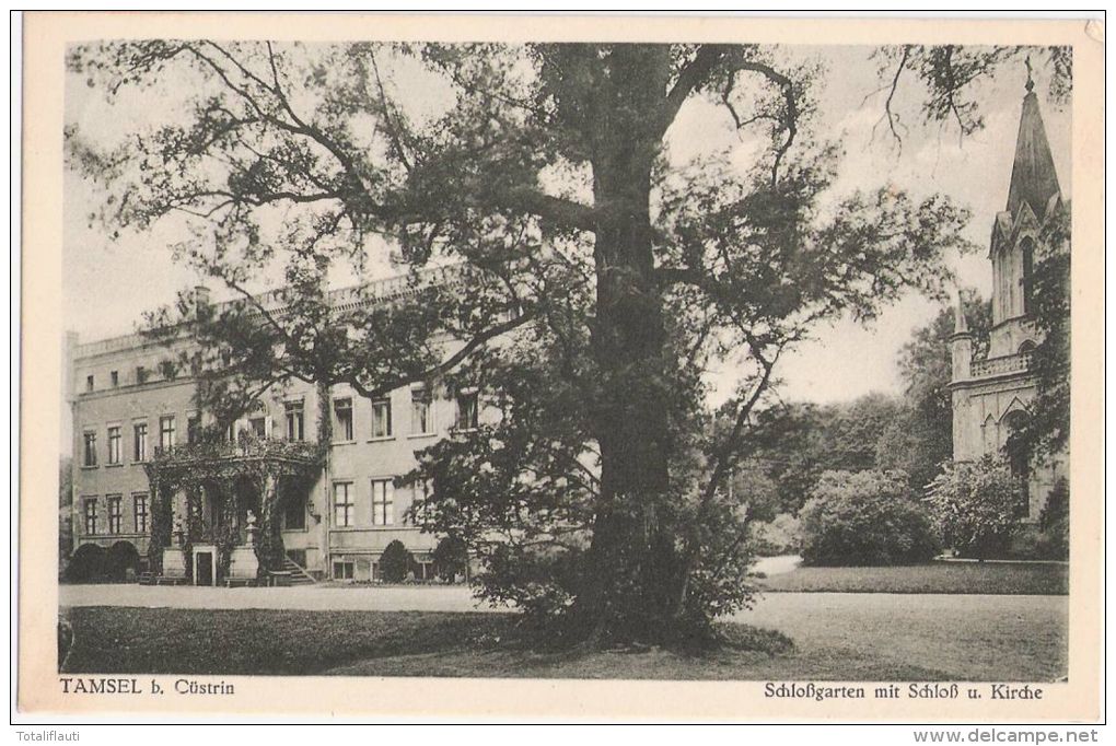 Tamsel Bei Cüstrin Schloßgarten Mit Schloß Kirche 10.5.1931 D&#261;broszyn Kostrzyn Nad Odra Küstrin Kustrin - Neumark