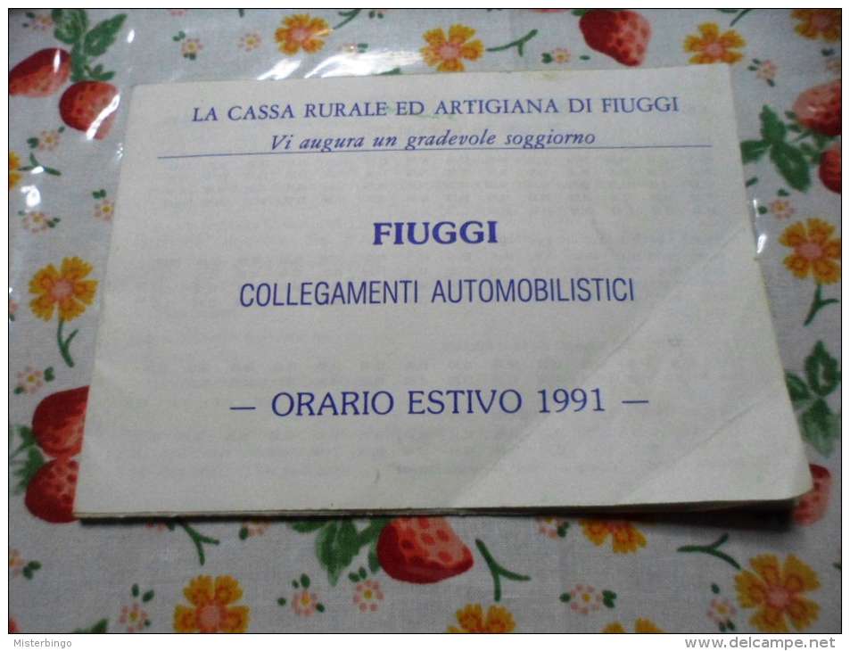 CASSA RURALE ED ARTIGIANA DI FIUGGI - ORARIO ESTIVO 1991 - COLLEGAMENTI AUTOMOBILISTICI - - Europa