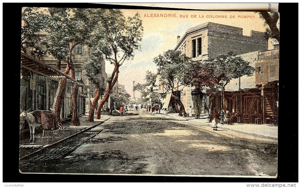 Carte Postale ALEXANDRIE Rue De La Colonne De Pompey - Alexandria