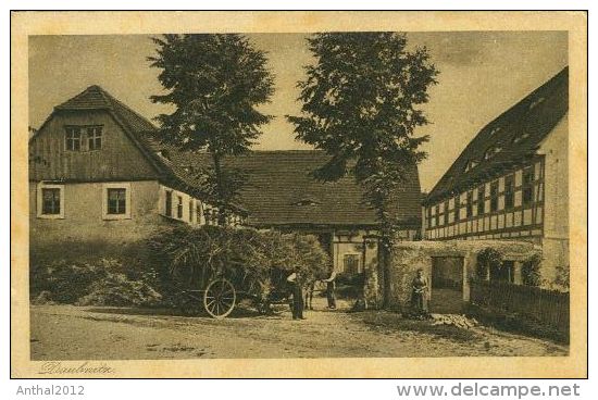 Daubnitz Bei Lommatzsch Sachsen Bauernhof Mit Heuwagen Vor Dem Tor Ernte Um 1920 - Lommatzsch