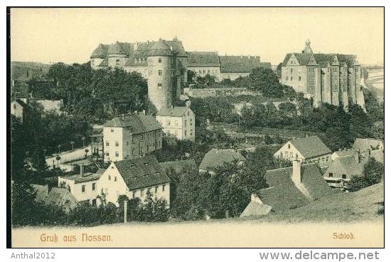 Litho Nossen Schloss Mühle Wohnhaus Häuser Um 1920 - Nossen