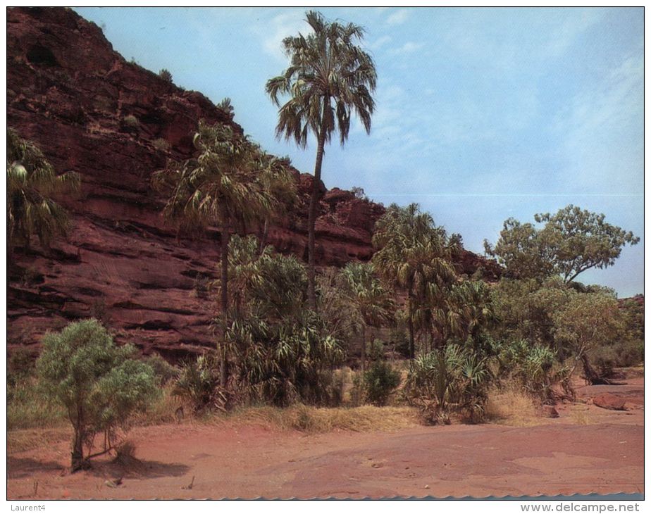 (836) Australia - NT - Palm Valley - The Red Centre