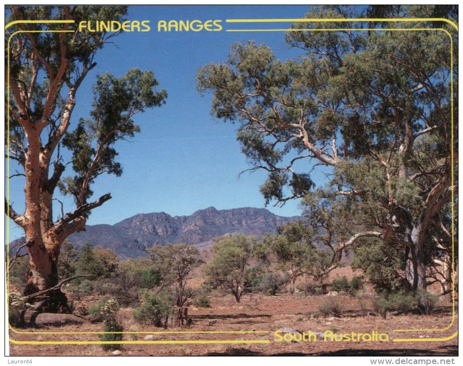 (836) Australia - SA - FLinders Ranges - Flinders Ranges