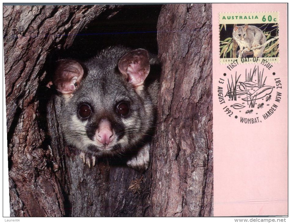 (836) Australia - Possum Maximum Card - Outback