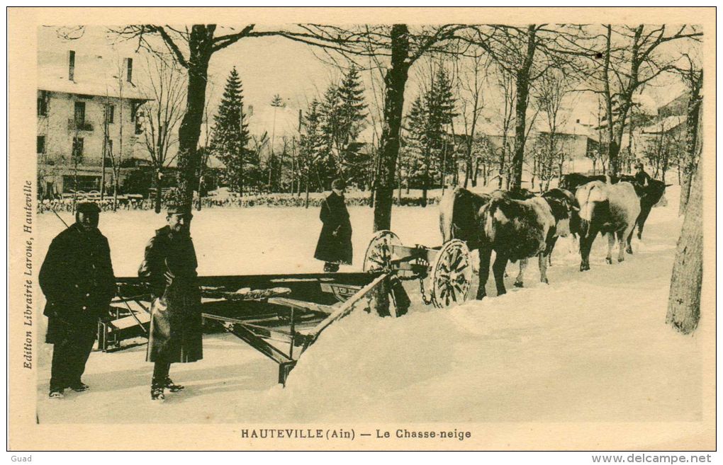 HAUTEVILLE-LOMPNES -  LE CHASSE - NEIGE ATTELAGE DE BOEUF - Hauteville-Lompnes