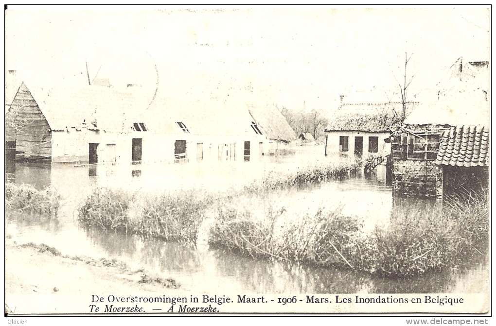 CASTEL - Moerzeke - Hamme - De Overstroomingen In Belgie Maart 1906 - Inondations -  Te Moerzeke - Hamme