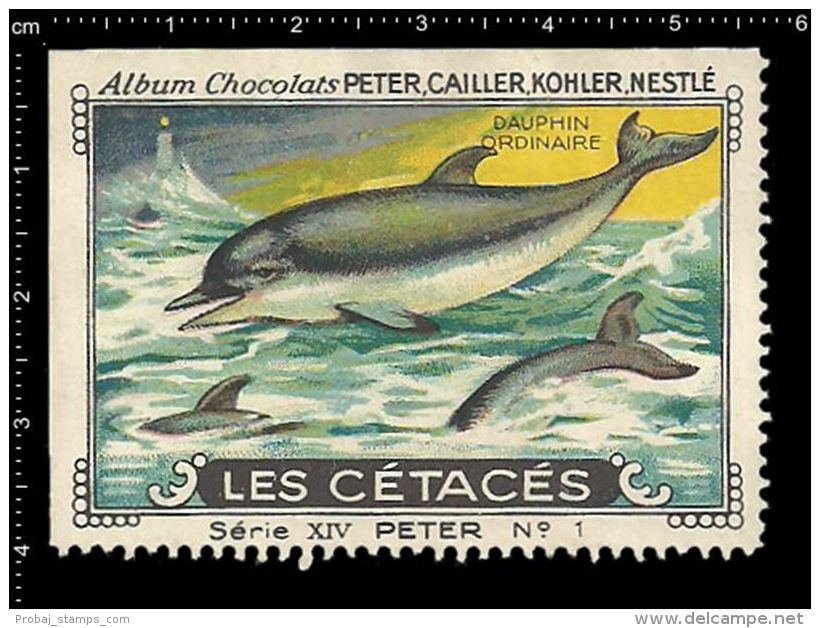 Old Original Swiss Poster Stamp (advertising Cinderella, Label)Marine Mammals, Dauphin, Dolphin, Delphin - Dolphins