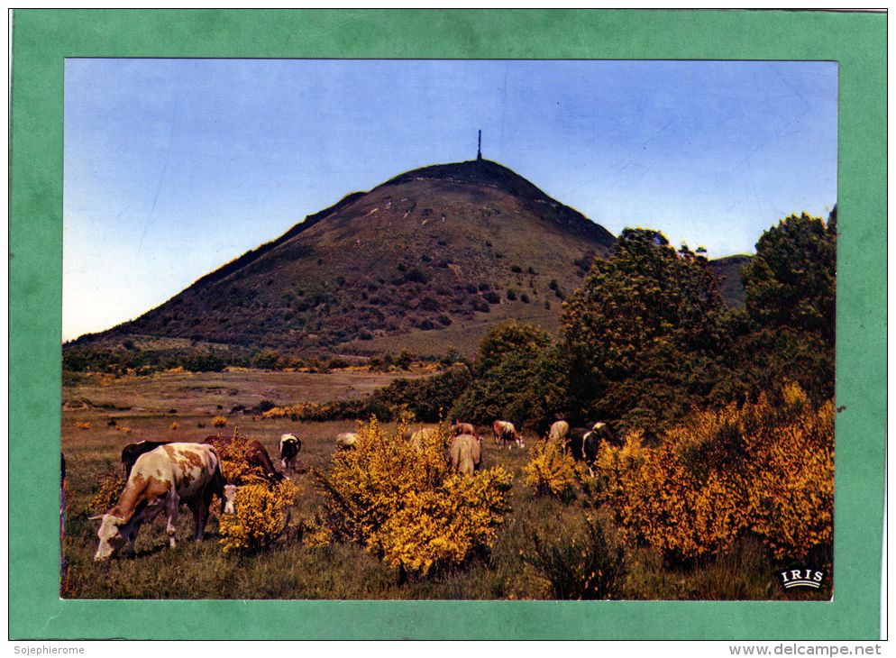 Le Puy De Dôme (63) (vaches) - Autres & Non Classés