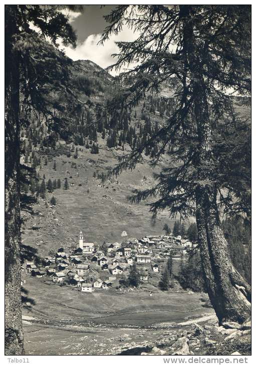 Bosco Gurin - Panorama - Bosco/Gurin