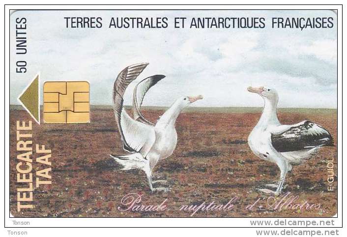 TAAF, TAF-04, Parade Nuptiale D´Albatros, Birds, Only Issued 1.500, 2 Scans. - TAAF - Terres Australes Antarctiques Françaises