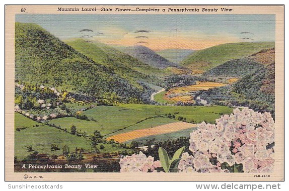 Pennsylvania Harrisburg Mountain Larel Laurel State Flower Completes A Pennsylvania Beauty View 1939 - Harrisburg