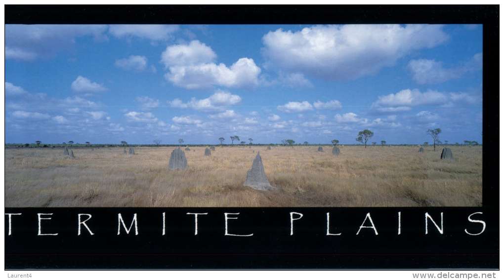 (148) Australia - QLD - Cape York Termite Plains - Far North Queensland