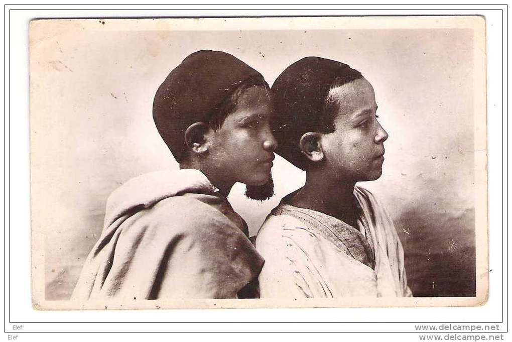 "Afrique Du Nord", Enfants; " Jeunes Indigènes; Photo Albert, Alger (Algérie) ; Années 50; B/TB - Kinderen