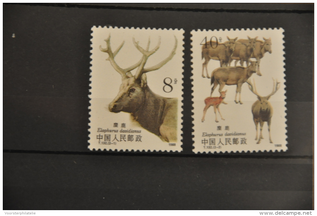 M 135 ++ CHINA 1988 ++ DEAR HERT HIRSCH ++ POSTFRIS MNH ** - Ongebruikt