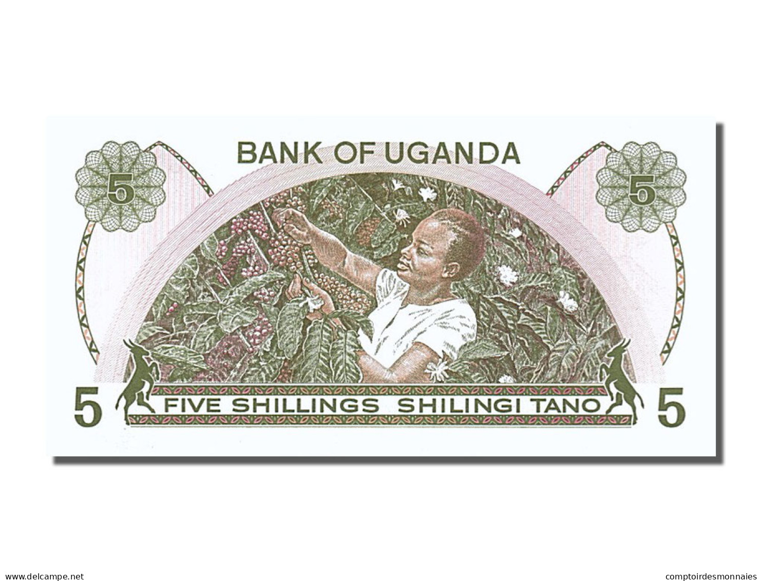 [#253601] Ouganda, 5 Shillings, Type 1982 - Ouganda