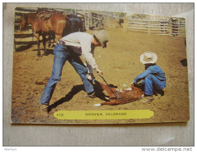 US - Denver Colorado - Horses  Cows - Cattle Stamping    D113081 - Denver