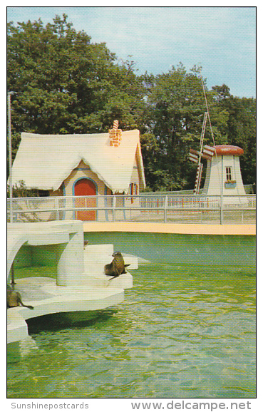 Canada Sea Lions Storybook Gardens London Ontario - London