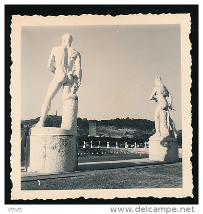 Photo Originale (Décembre 1954) : ROME, Stade Mussolini, Foro Italico, Les Statues (Italie) - Stadien & Sportanlagen