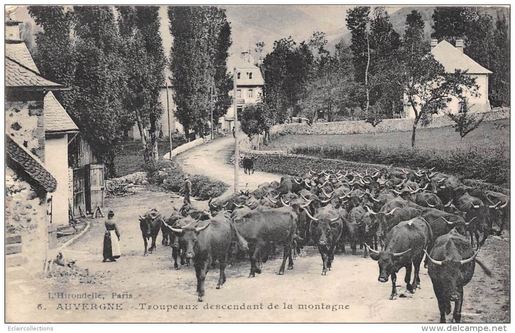 Non Localisé. Auvergne  Cantal   15   Troupeaux Descendant De La Montagne    (voir Scan) - Auvergne