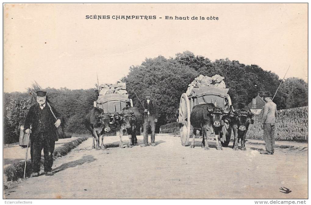 Auvergne   19 ?- 87 ? Scènes Champêtres  En Haut De La Côte  (quelle Ville Svp?) - Auvergne