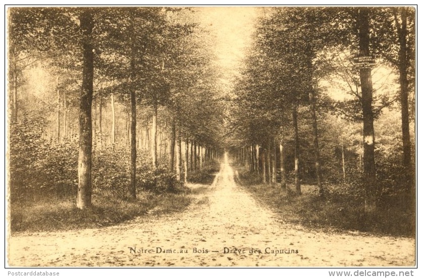 Notre-Dame-au-Bois - Drève Des Capucins - Overijse