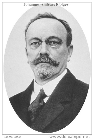 NOBEL PRIZE WINNERS Johannes Andreas Fibiger Stamped Card 0951-3 - Prix Nobel
