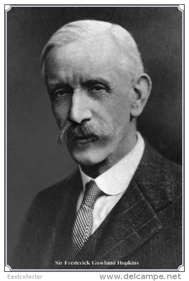 NOBEL PRIZE WINNERS Sir Frederick Gowland Hopkins  Stamped Card 0951-3 - Nobelpreisträger