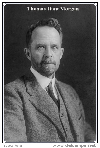 NOBEL PRIZE WINNERS Thomas Hunt Morgan  Stamped Card 0951-3 - Nobelprijs