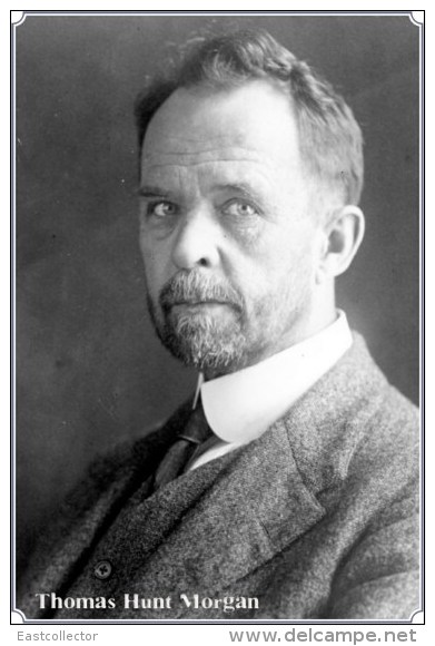 NOBEL PRIZE WINNERS Thomas Hunt Morgan   Stamped Card 0951-3 - Prix Nobel